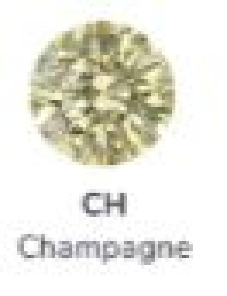 Titanium Prong Set Gem - Champagne/gold - 5mm