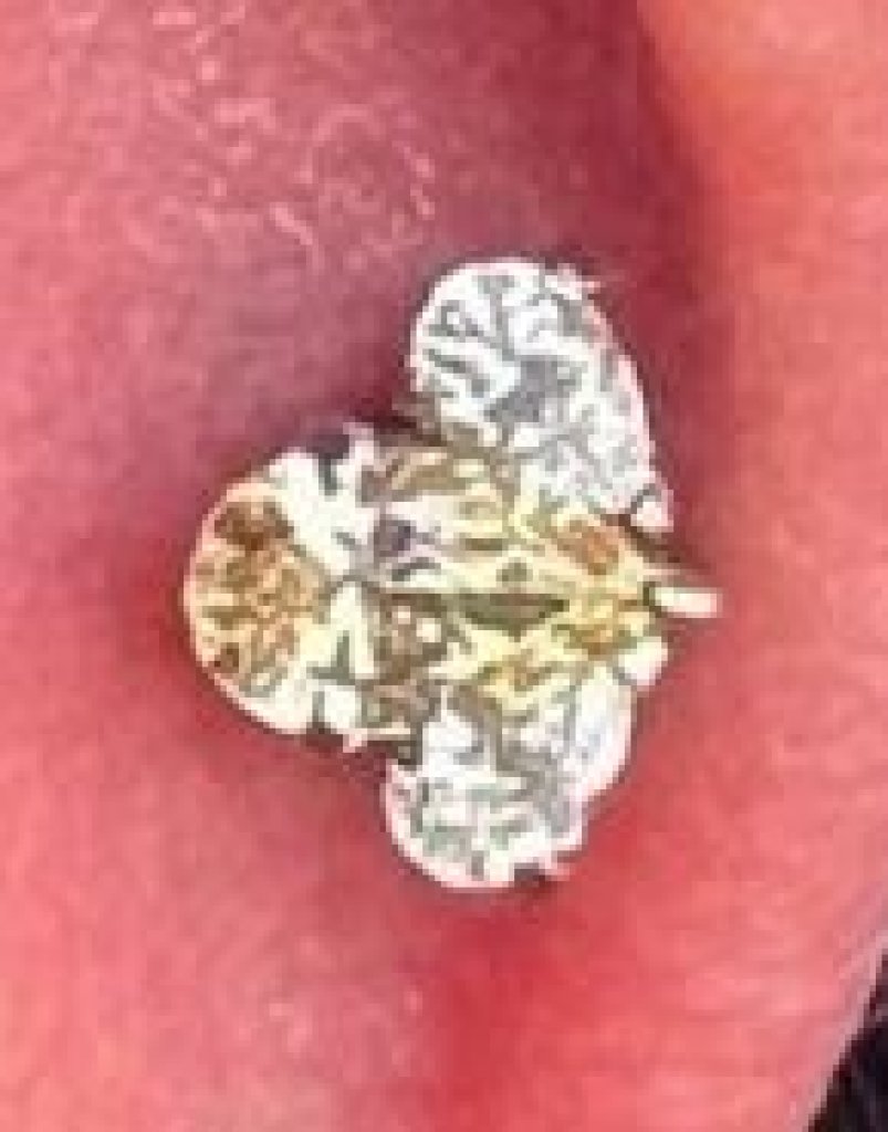 Titanium Pear Cut Gem Fan Clusters - Champagne